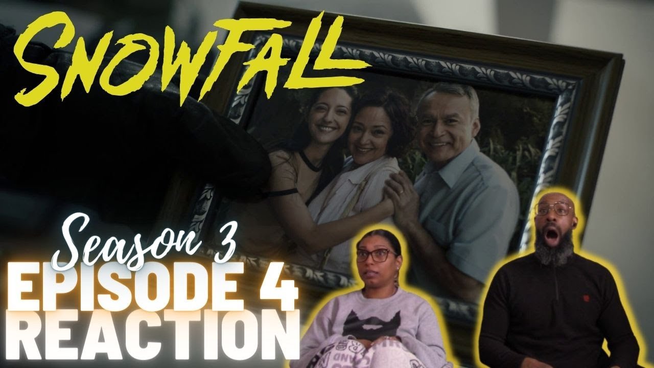 Snowfall 3x4 | 