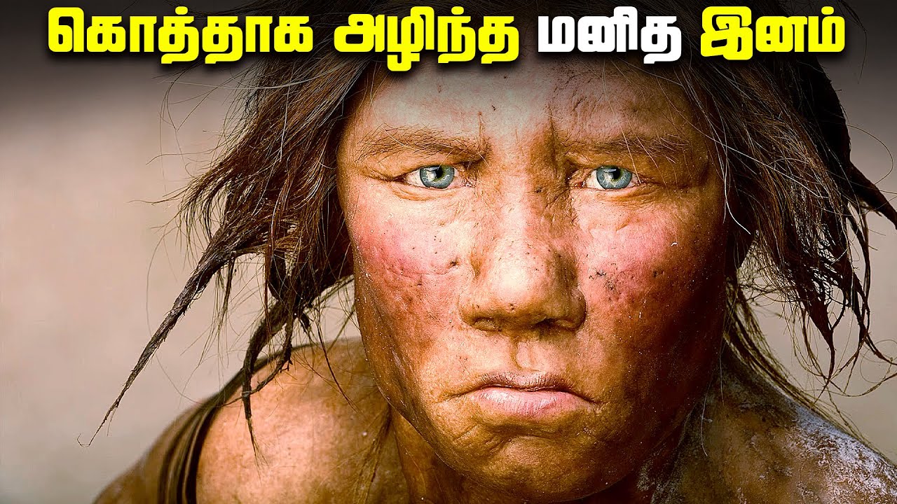 கொத்தாக அழிந்த மனித இனம் - Neanderthals Facts