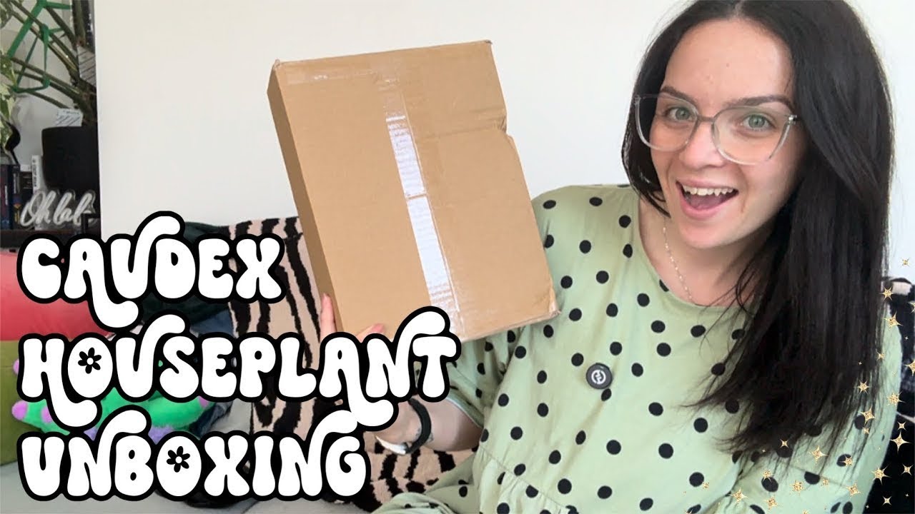📦 Unbox My New Caudex Plants With Me! 🪴 eBay Plant Shopping 🌿