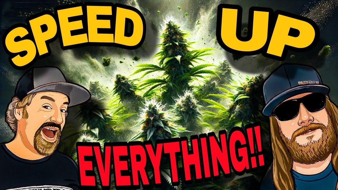 Why Are Enzymes ESSENTIAL for Growing Top-Quality Cannabis at Home?