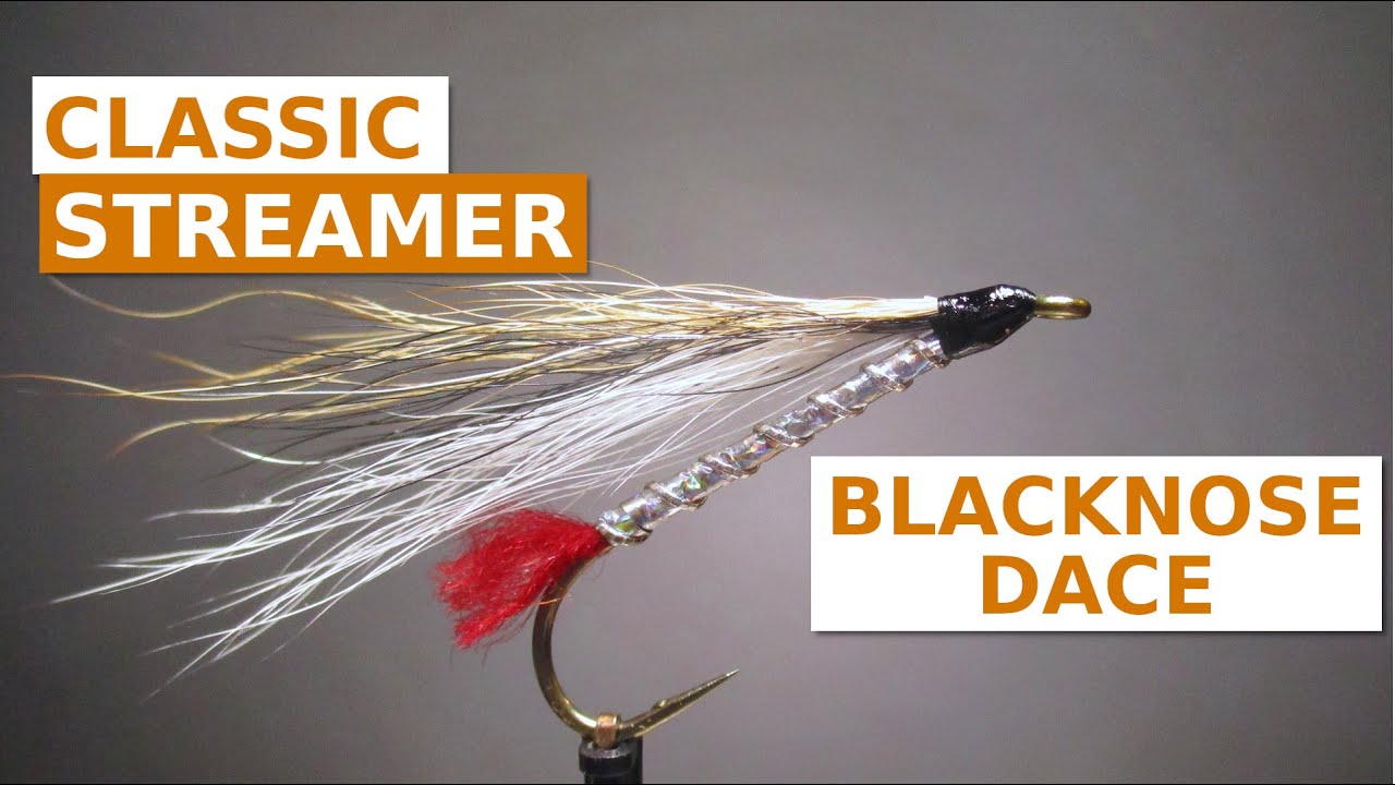Fly Tying a Blacknose Dace (Art Flick Bucktail Streamer)