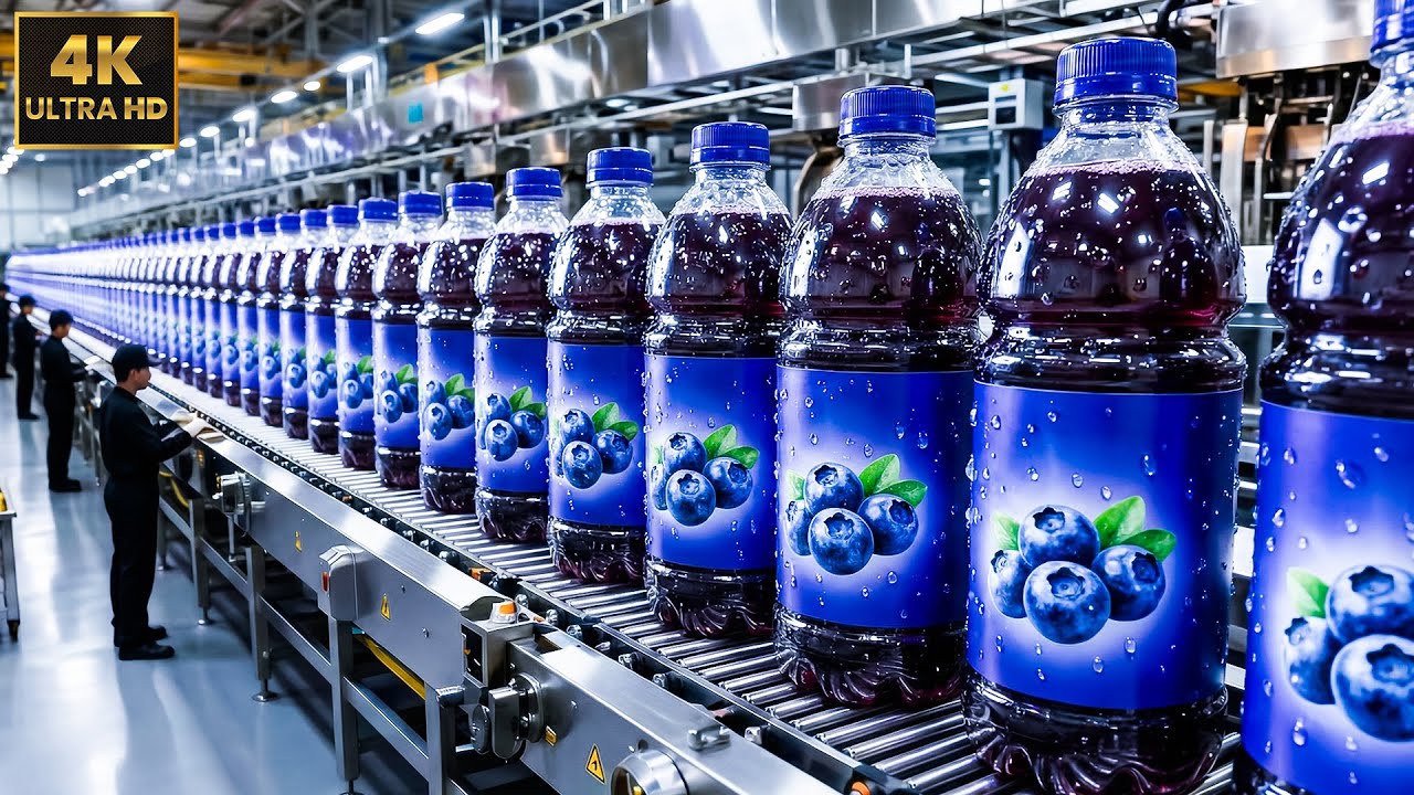 The Secret to Perfect Blueberry Juice  Inside a Modern Factory (Full Process)