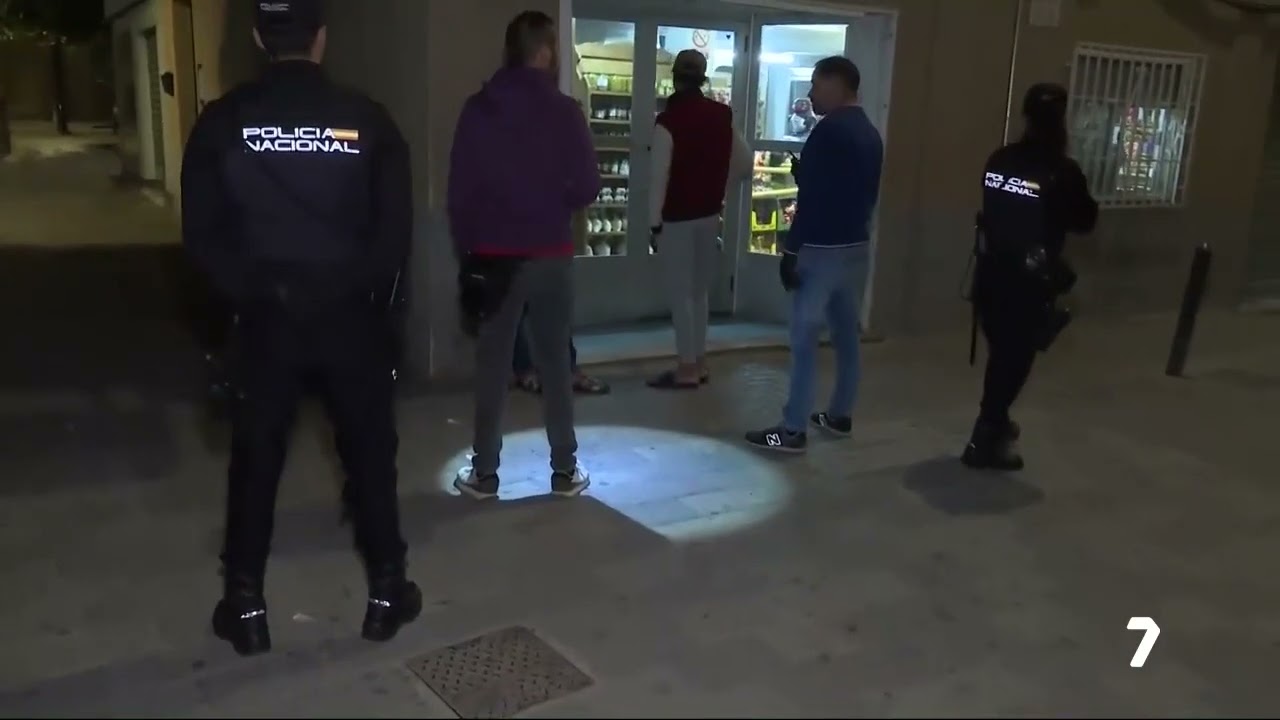 Inspecciones policiales