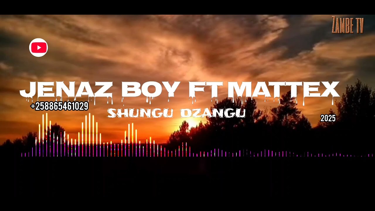 mattex ft jenaz boy  --shungu dzangu  ( official  music) 2025