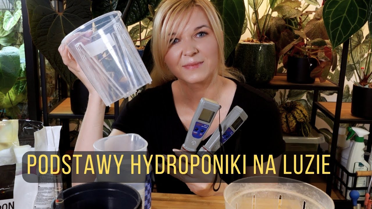 Hydroponika dla początkujących - podstawy na luzie i po taniości