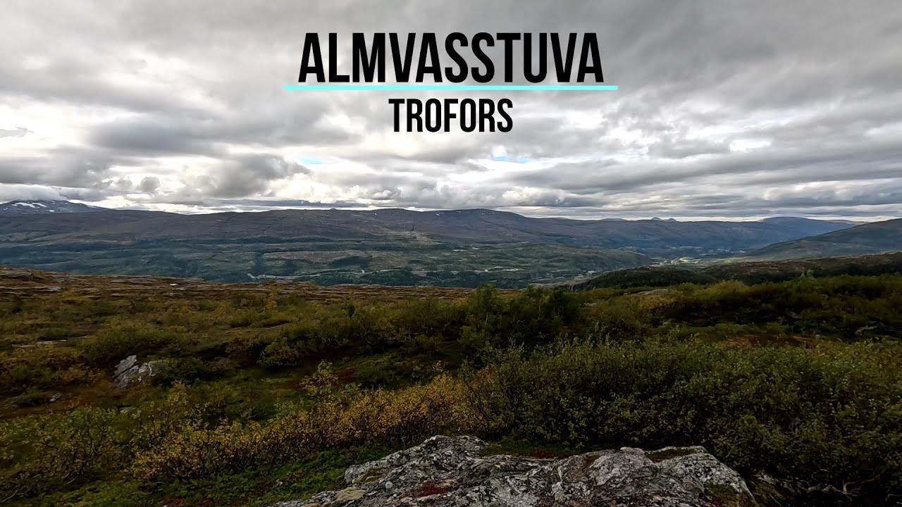 Almvasstuva, Trofors (233)