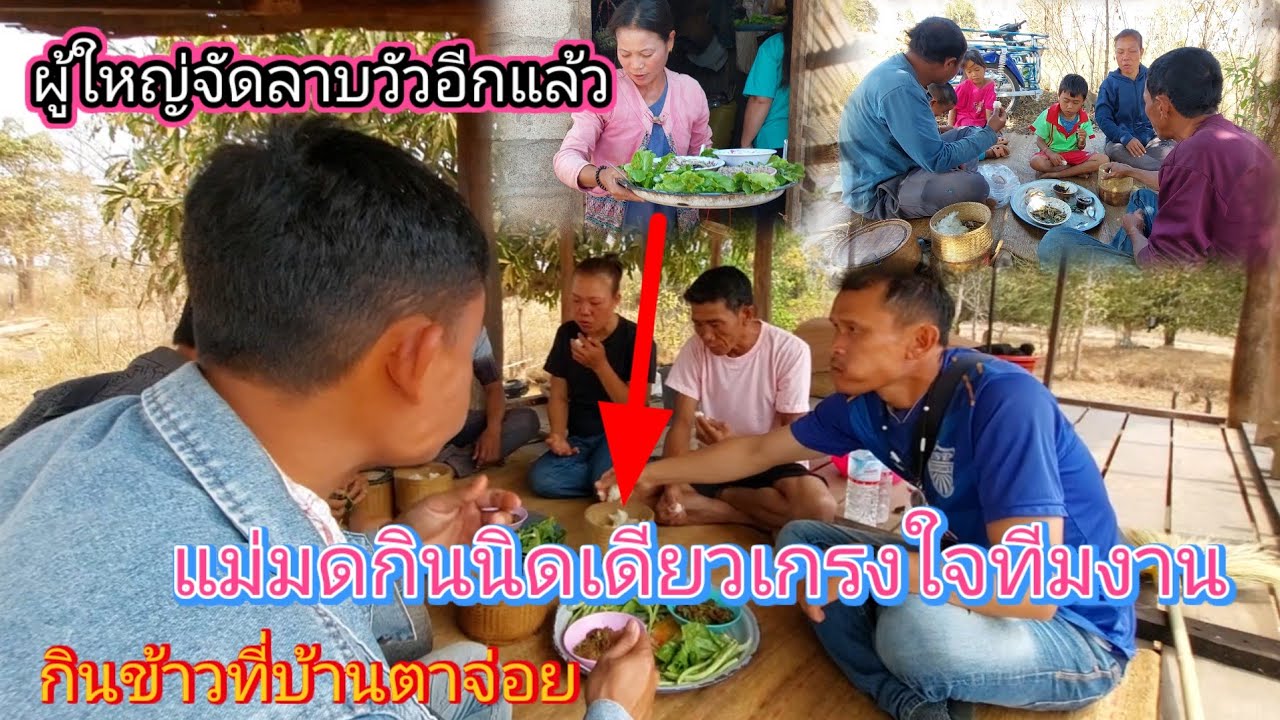 #ตาจ่อยแม่มด เกรงใจกินข้าวกับทีมงานนิดเดียวขอบคุณผู้ใหญ่ใจดีซื้อลาบวัว🙏❤️23 กุมภาพันธ์ ค.ศ. 2026