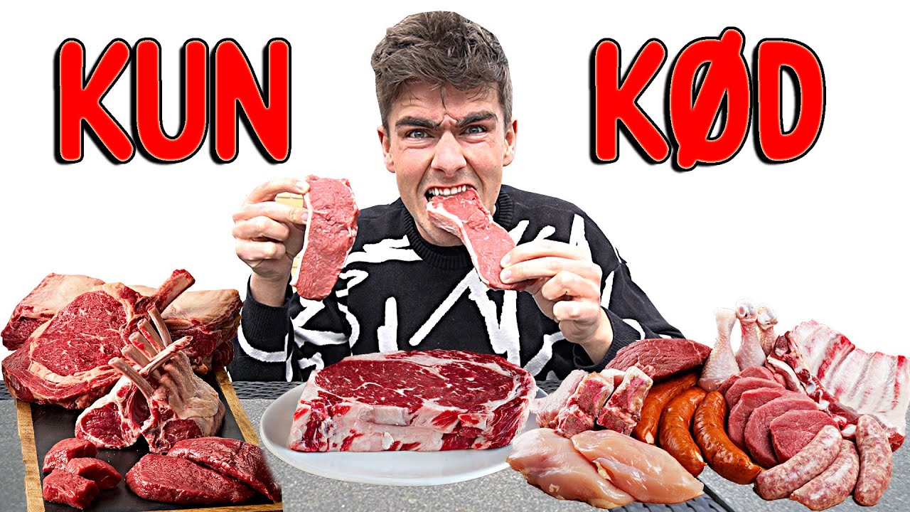 SPISER KUN K&Oslash;D I 100 TIMER...