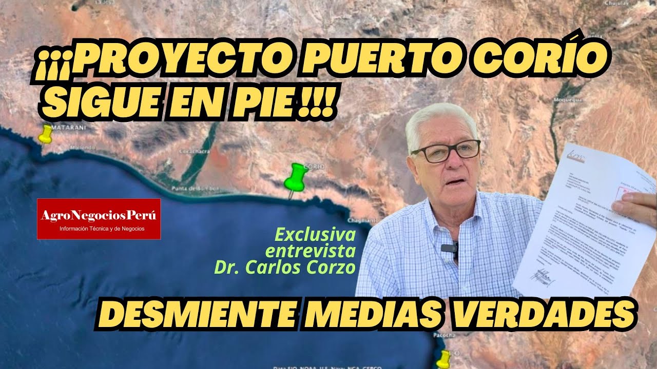 Proyecto Corío sigue en pie, iniciativa privada propone hacer Puerto Especializado en Contenedores
