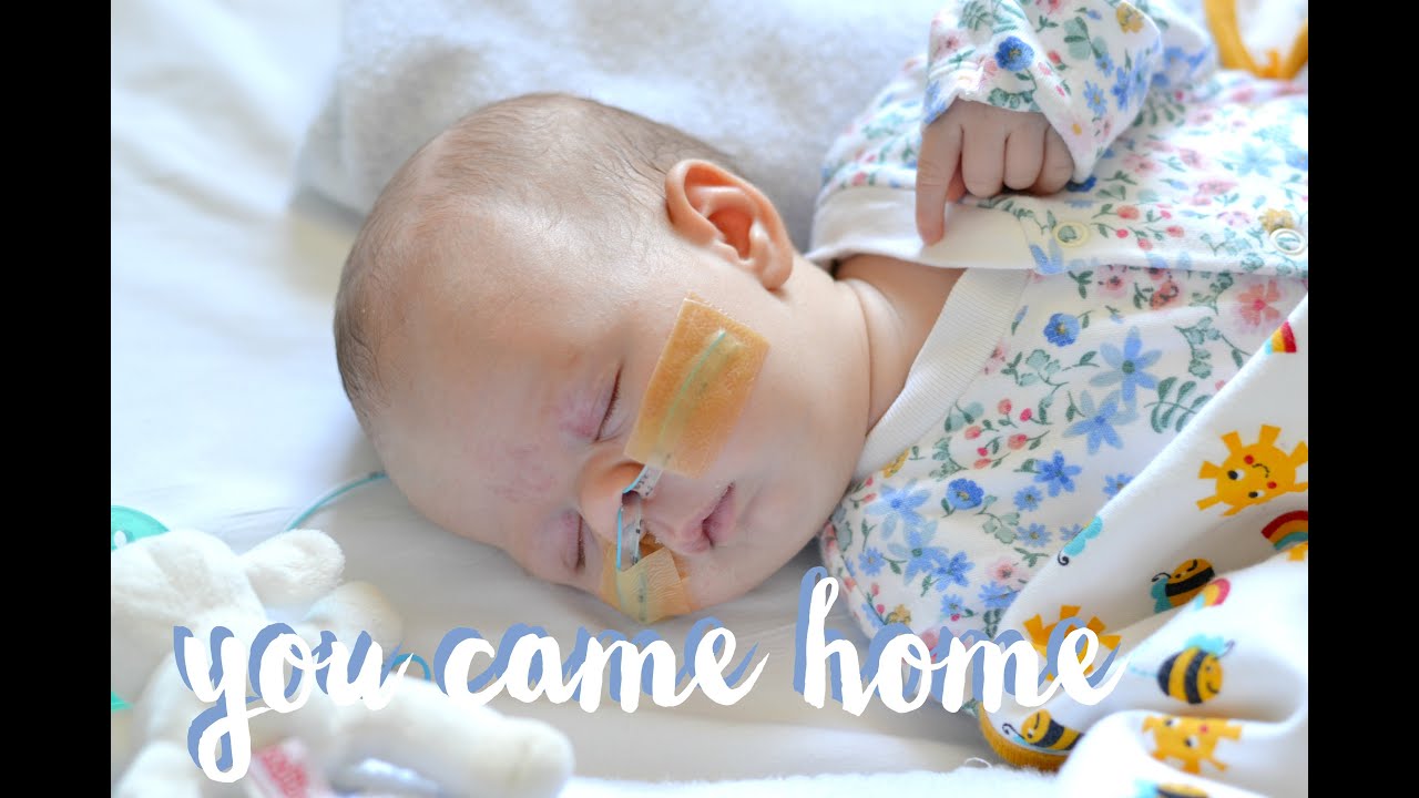 WHEN DAISY CAME HOME | Charlotte Taylor