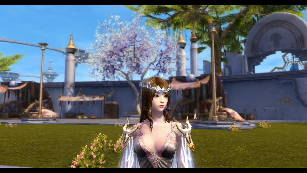 Aion America - Steel rose solo sorc