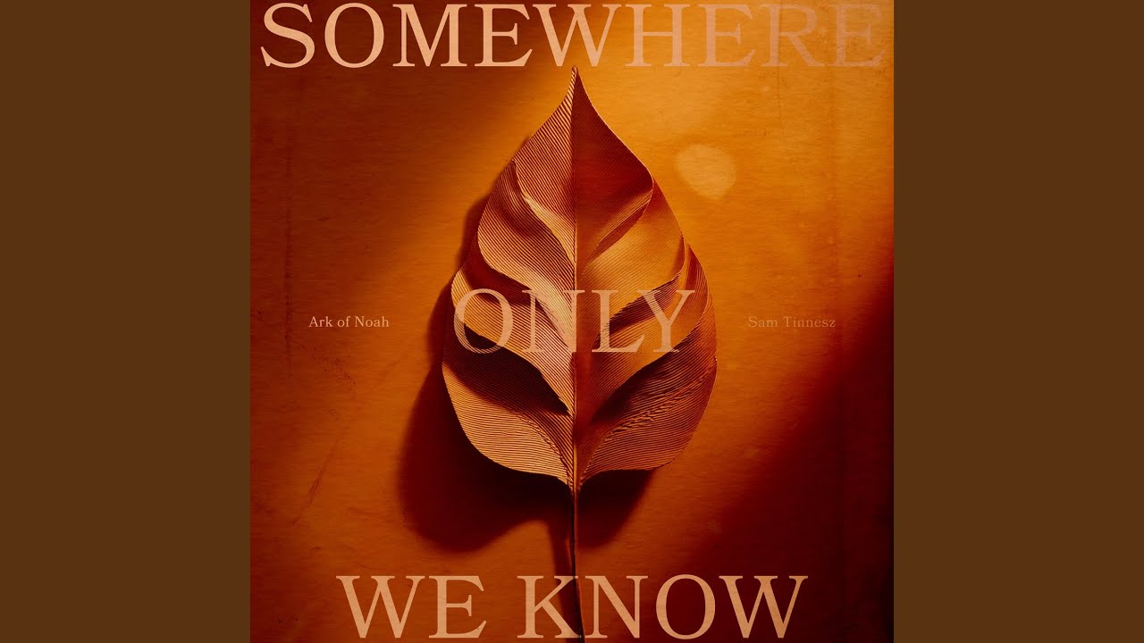 Somewhere Only We Know