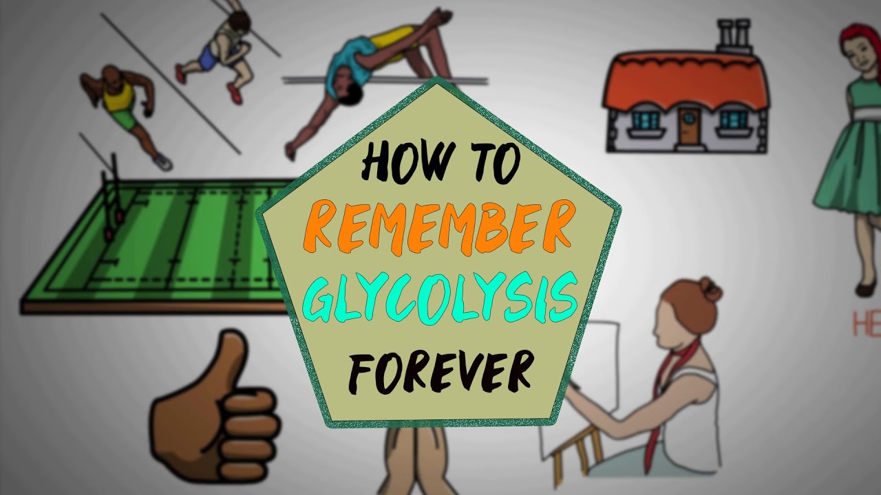 ХИТРОСТЬ ГЛИКОЛИЗА - КАК ЗАПОМНИТЬ ГЛИКОЛИЗ НАВСЕГДА!!!