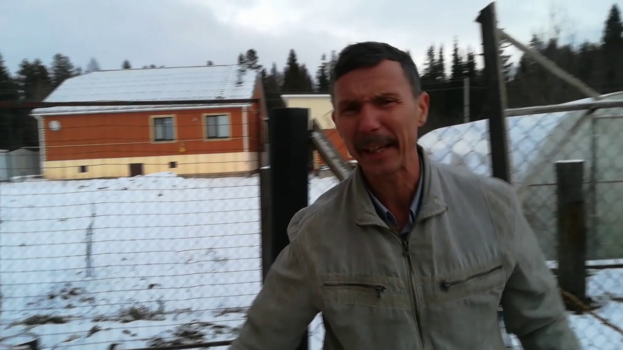 Лучший способ избавиться от крыс