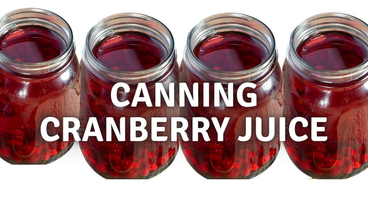 Canning Cranberry Juice: The Easiest Tutorial You'll Ever Watch!