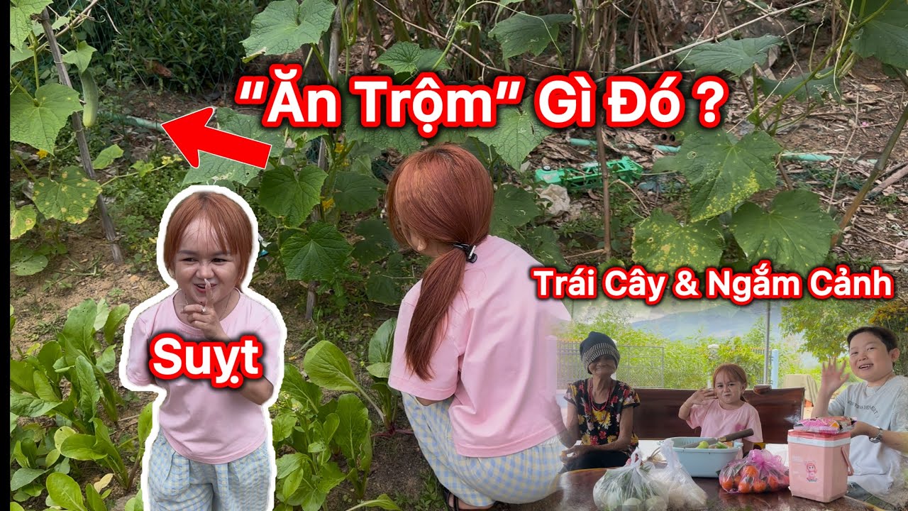 Vụ “Ăn Trộm” Thế Kỷ Của Huyền Hrê và Tài Tí Tẹo - Thưởng Thức Trái Cây, Ngắm Cảnh Cùng Bà Nội