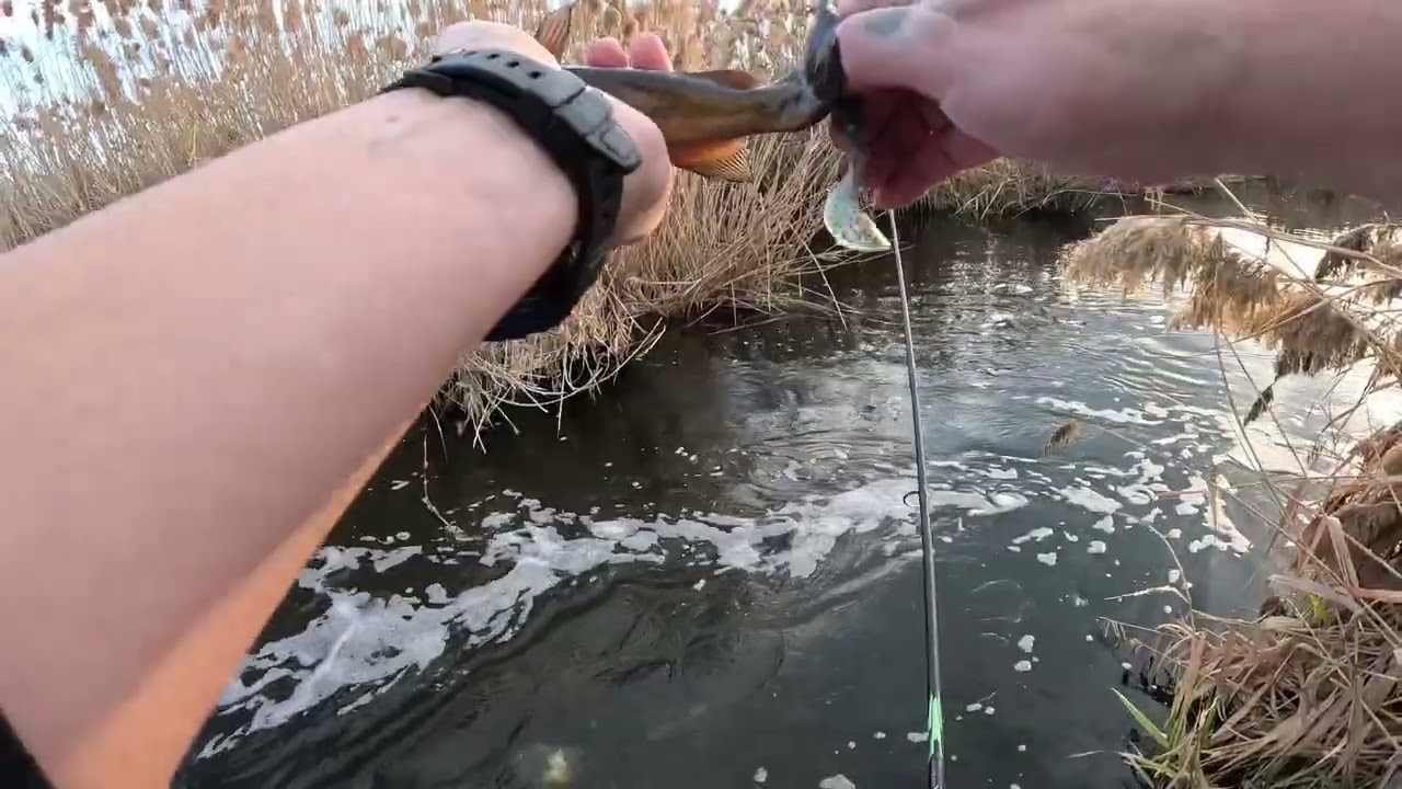 We're fishing down at Powell Slough in Orem. It's a hot hydrothermal inlet into the Utah lake. 