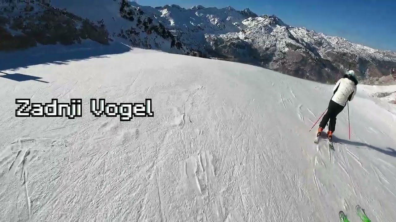 Vogel (Zadnji Vogel)