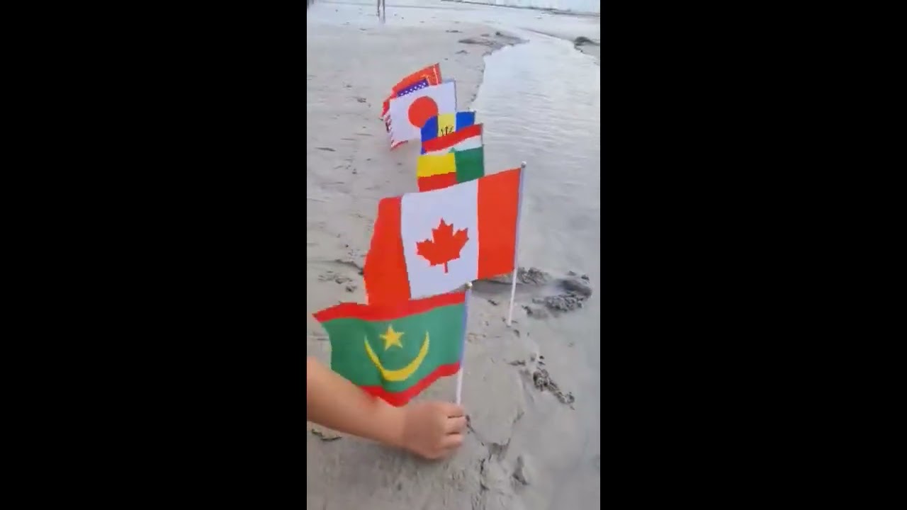 My flags at the beach