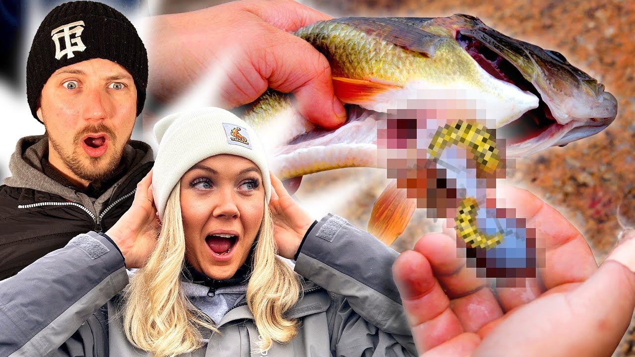 We Investigate Perch Staple Diet –UNEXPECTED CONTENT REVEALED!