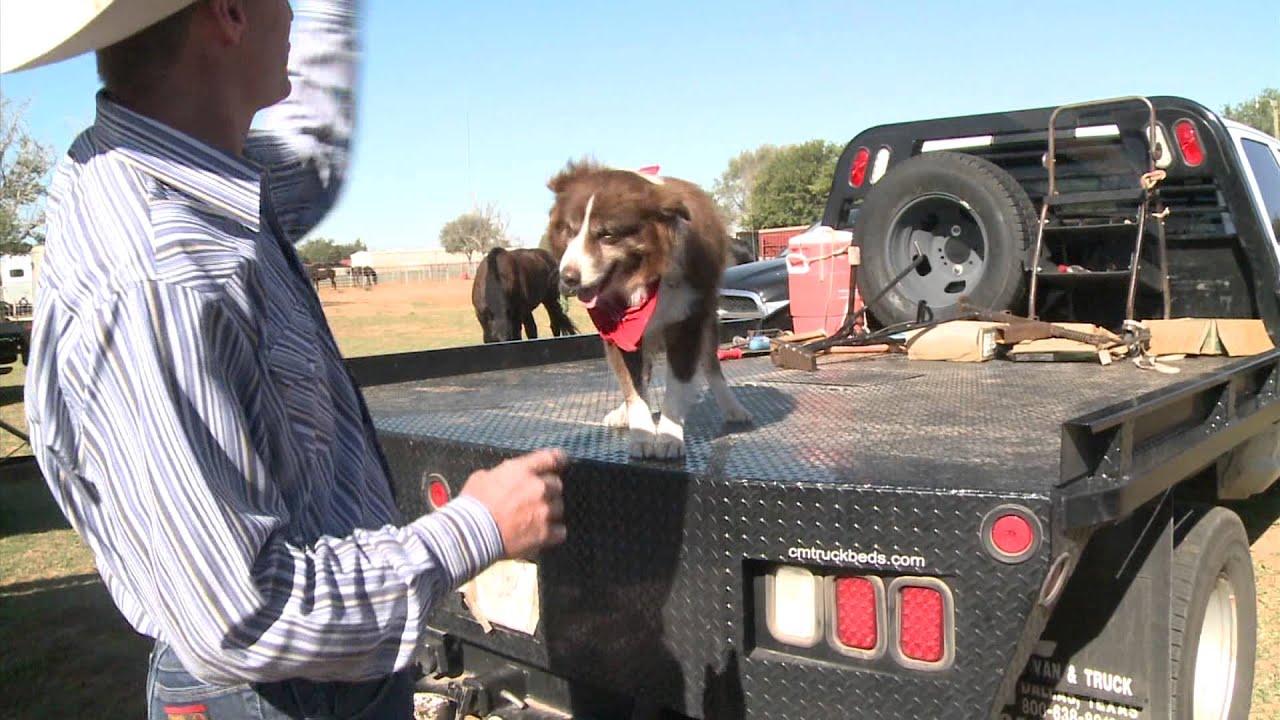 Channel 5 Feature: Trick Roper Brice Chapman