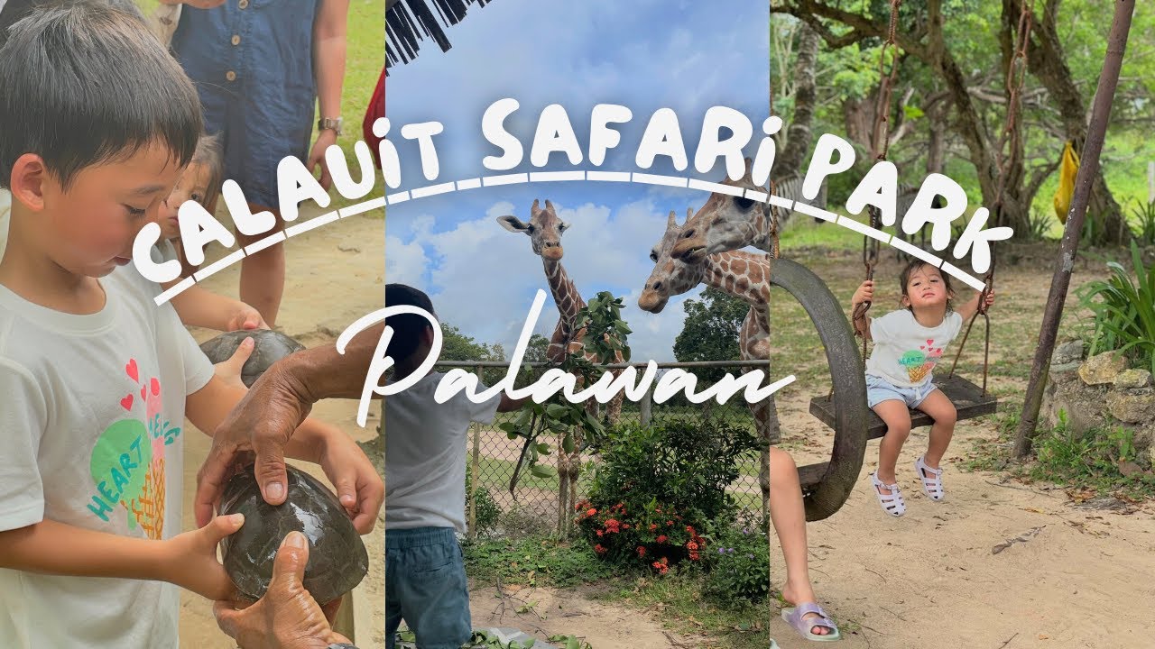 Exploring Calauit Island Safari Park in Palawan, Philippines
