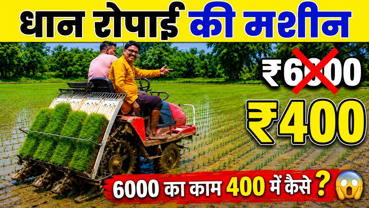 धान रोपाई की मशीन 400 ₹ में 6000 का काम।। Paddy Transplanter machine Review||Dhan Ropai machine