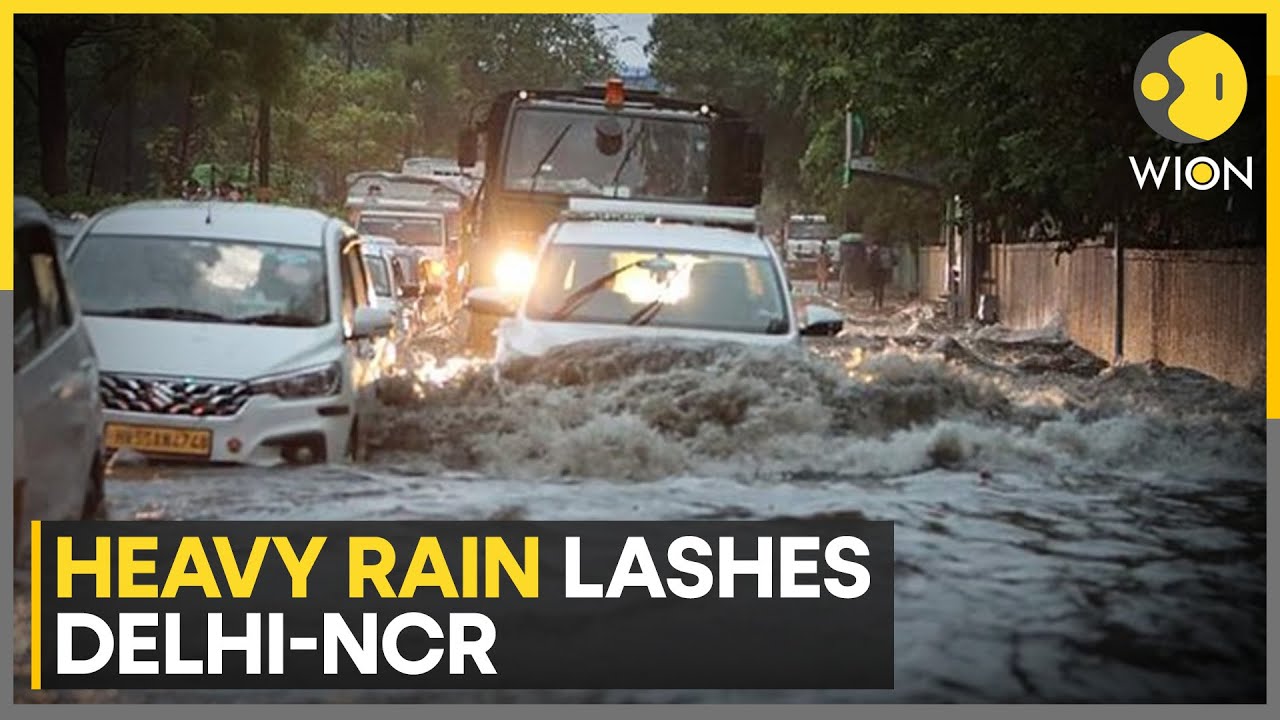 Overnight Showers Chill Delhi-NCR, More Rain Ahead; IMD Issues Rain Alerts | WION News