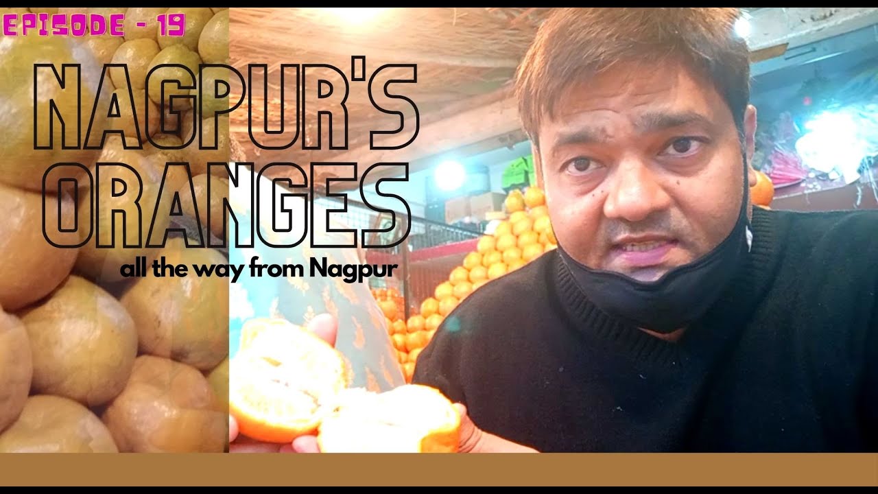 | Nagpur Oranges | Oranges from Nagpur | All the way from Nagpur Santra mandi | Supply entire India