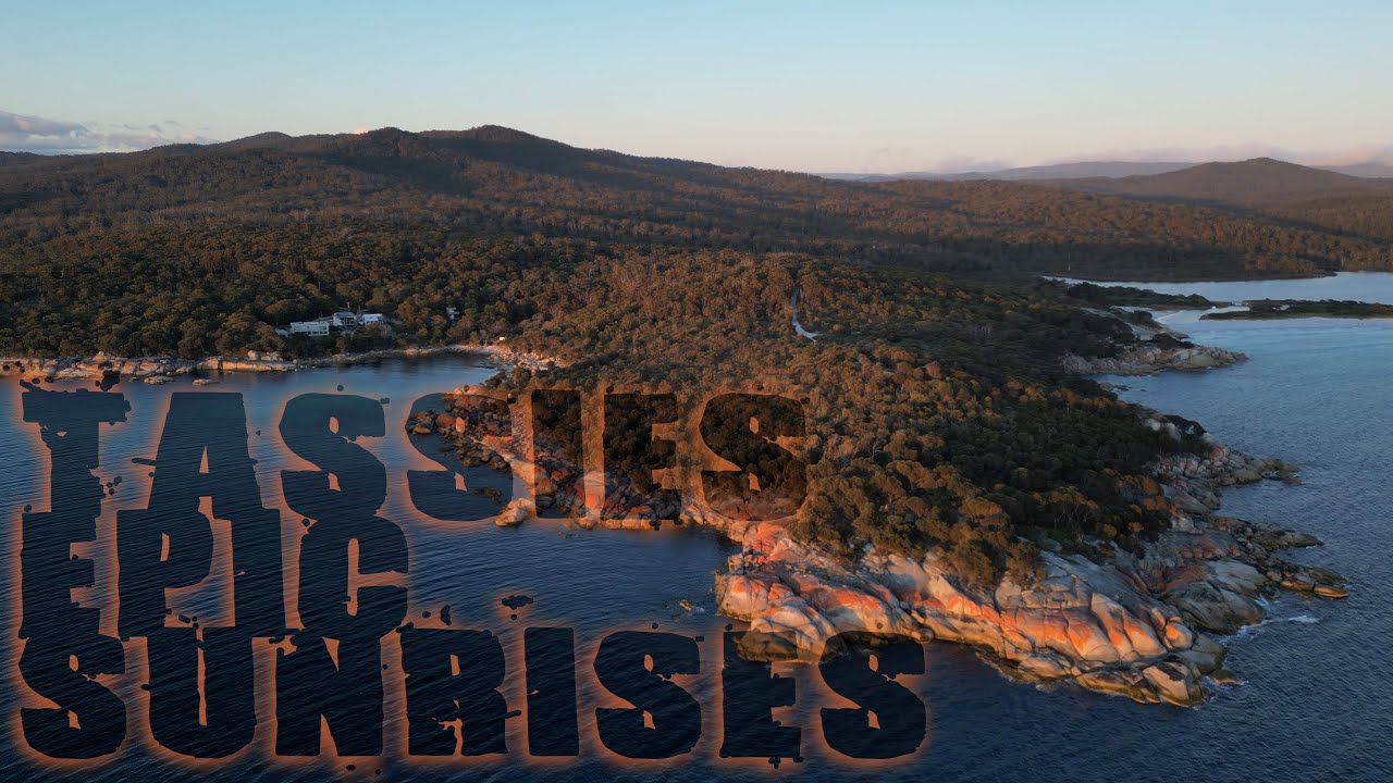 Tasmania Day 4: Epic Sunrise Location, dropping into a distillery and finding dolphins at sunset.
