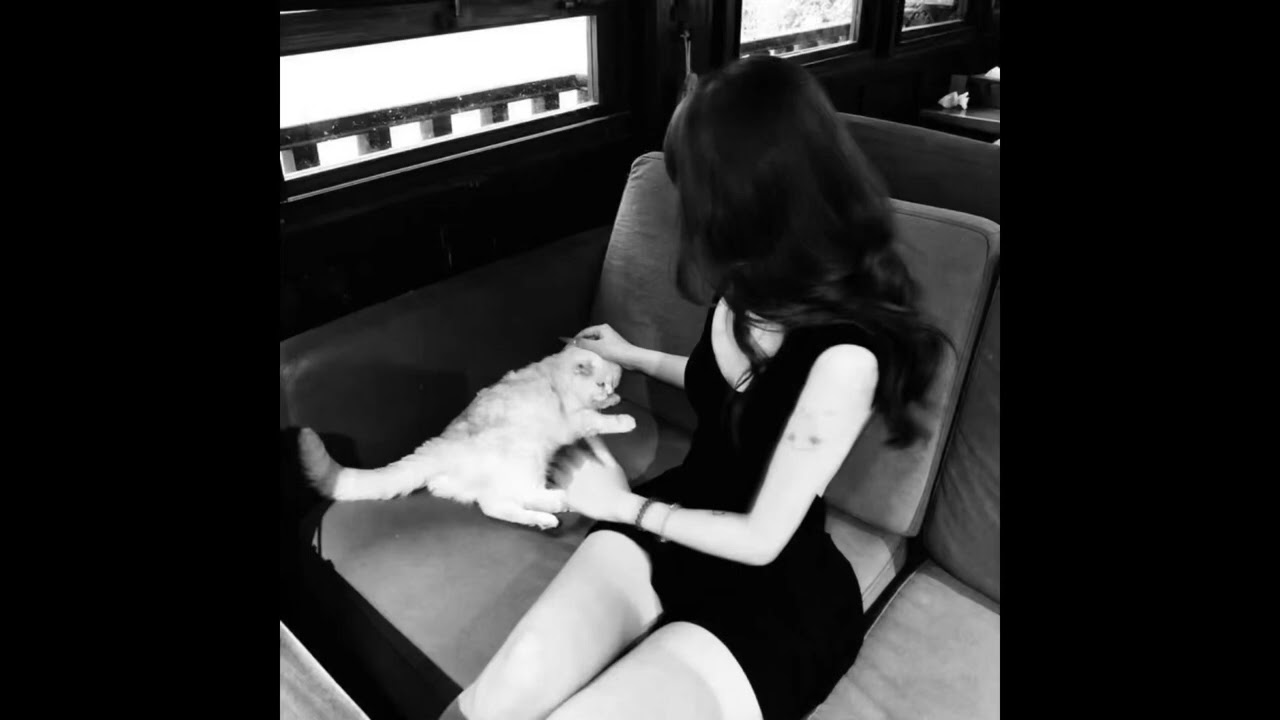 [FREE] MACAN x SCIRENA x JAMIK TYPE BEAT - *Chords*