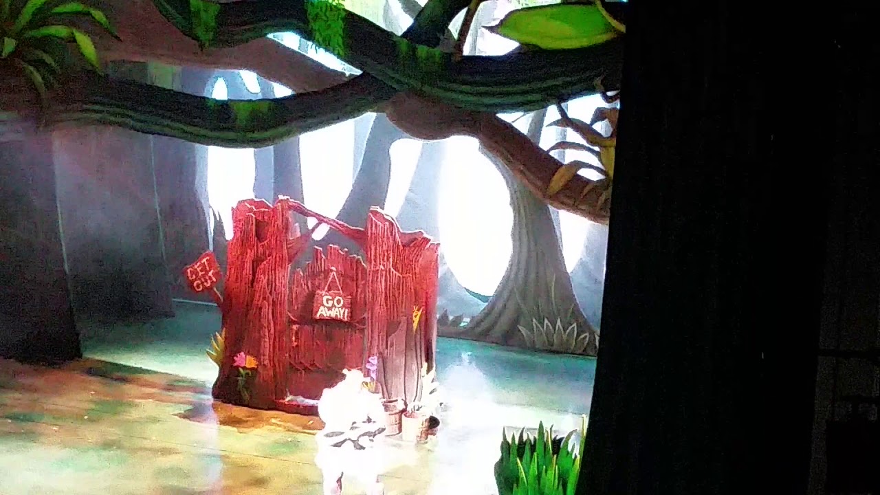 Me filming liverpool empire theatre shrek