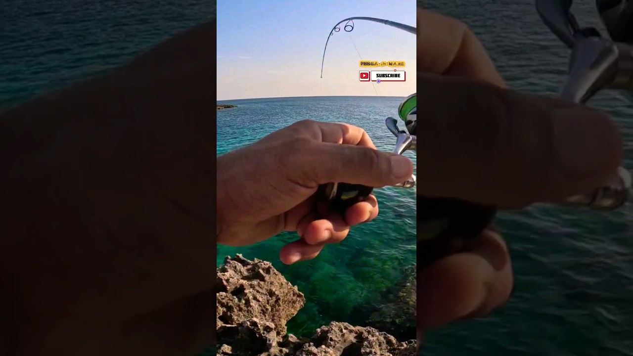 Pesca in Mar Ionio