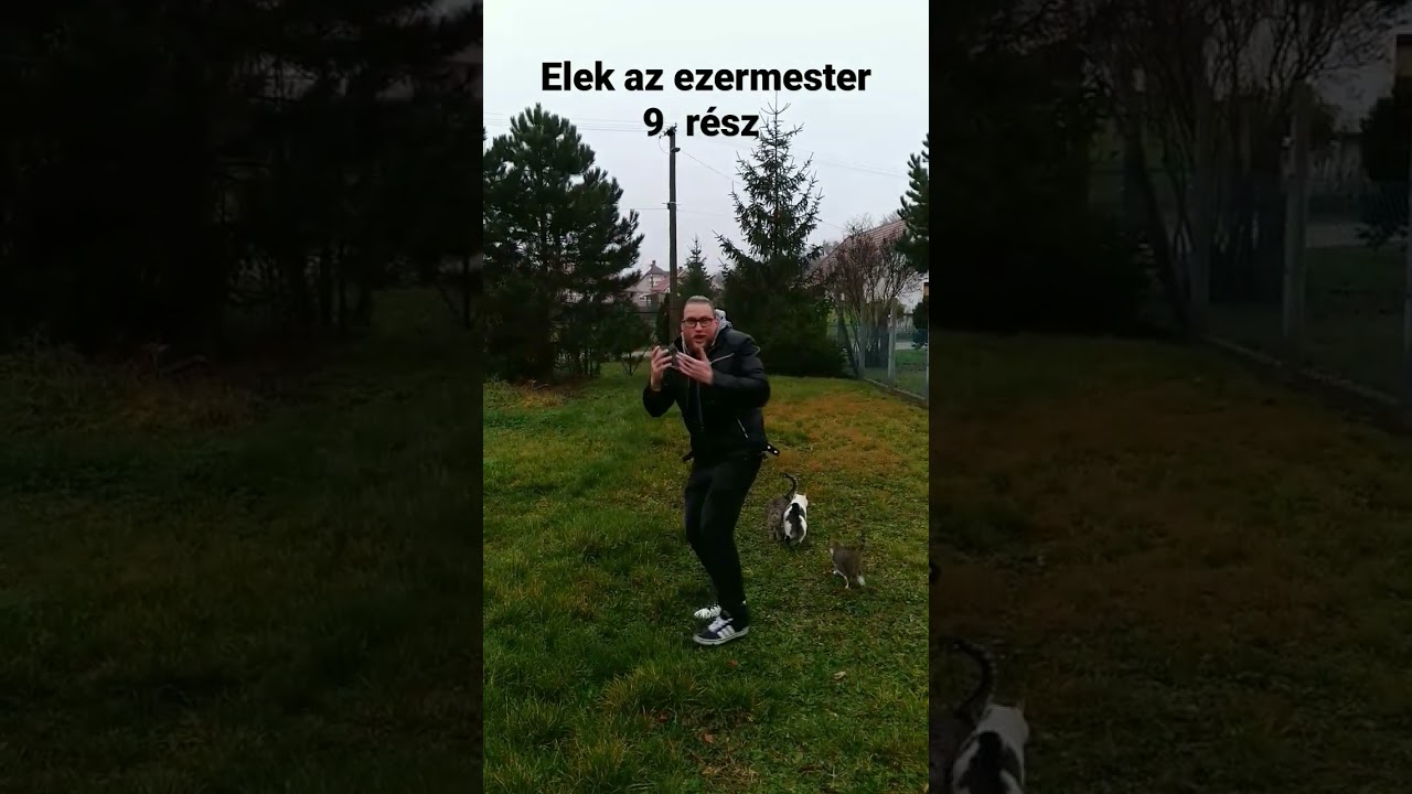 Elek az ezermester akci&oacute;ban 😎