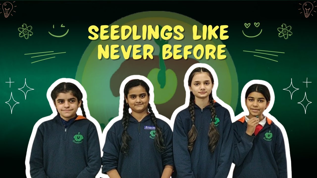 Students Take Over Seedlings School 😄 | Campus Tour, Funny Teacher Q&A & Event BTS Bloomfest Special