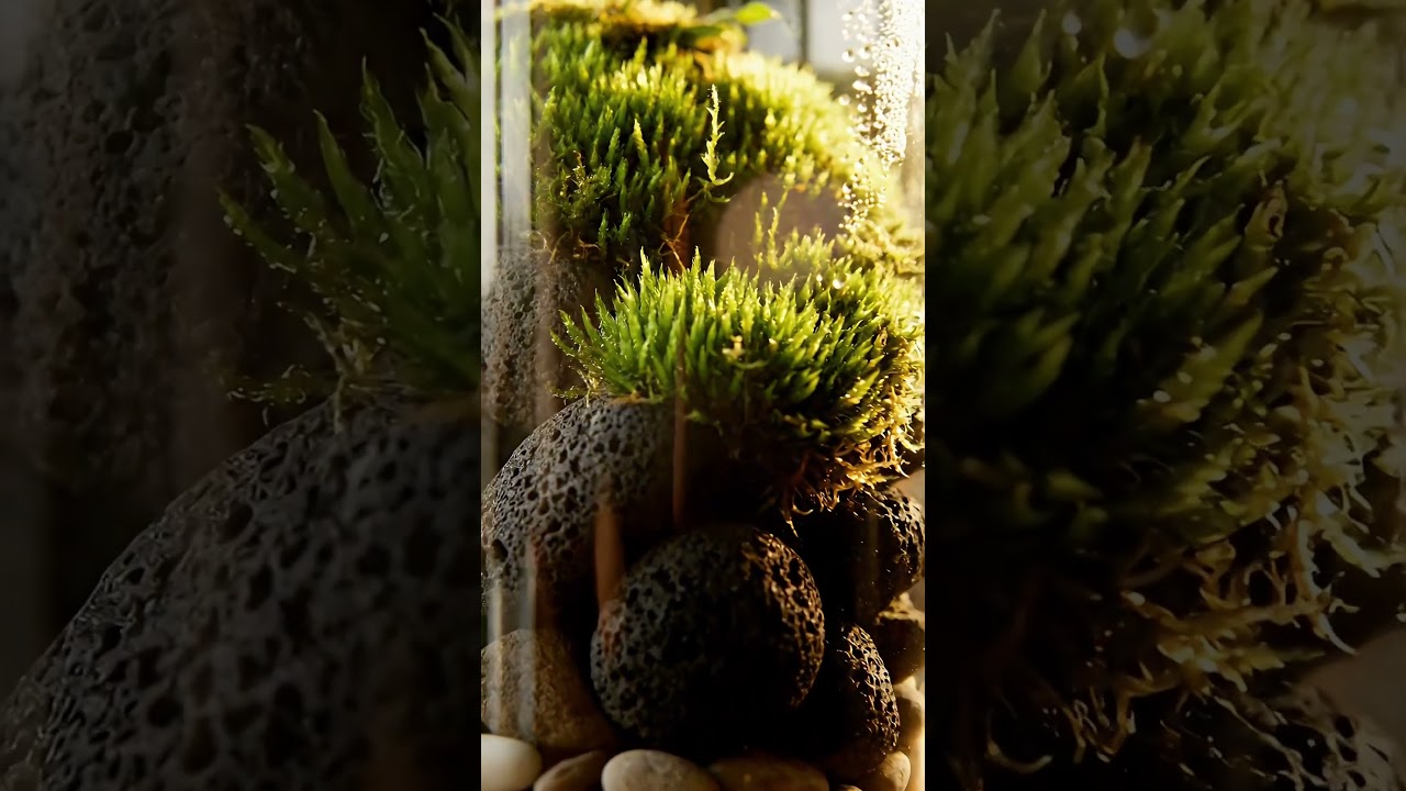 Close-up Glass Jar Terrarium Housing Lush Moss, Pebbles, and Layered Substrate on Wooden   