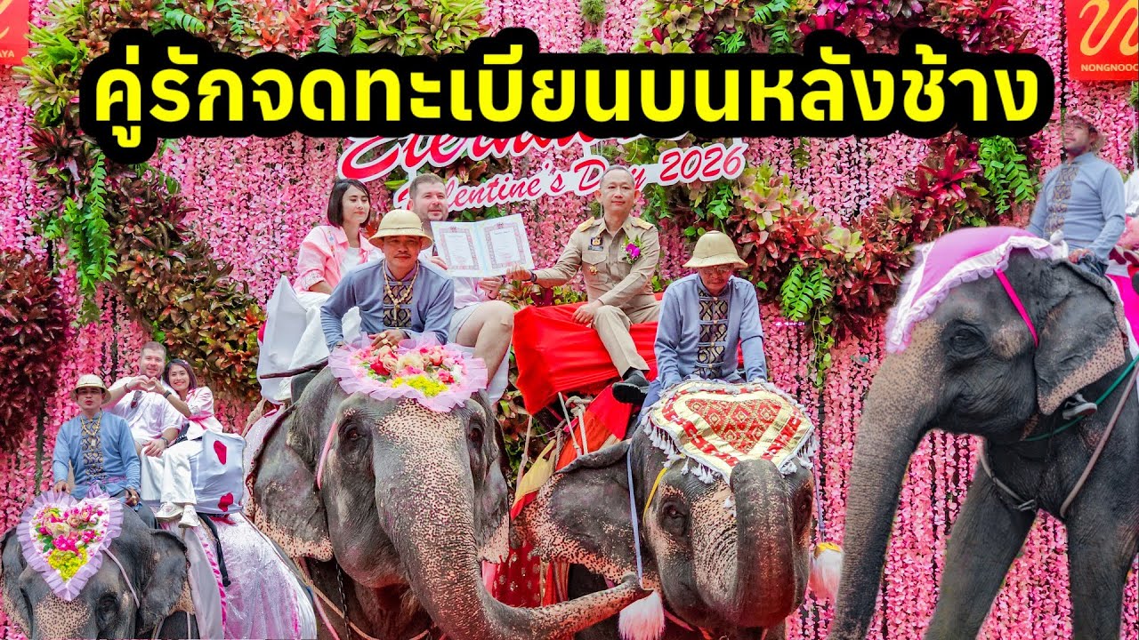9 คู่รัก จดทะเบียนบนหลังช้าง สวนนงนุชพัทยา 