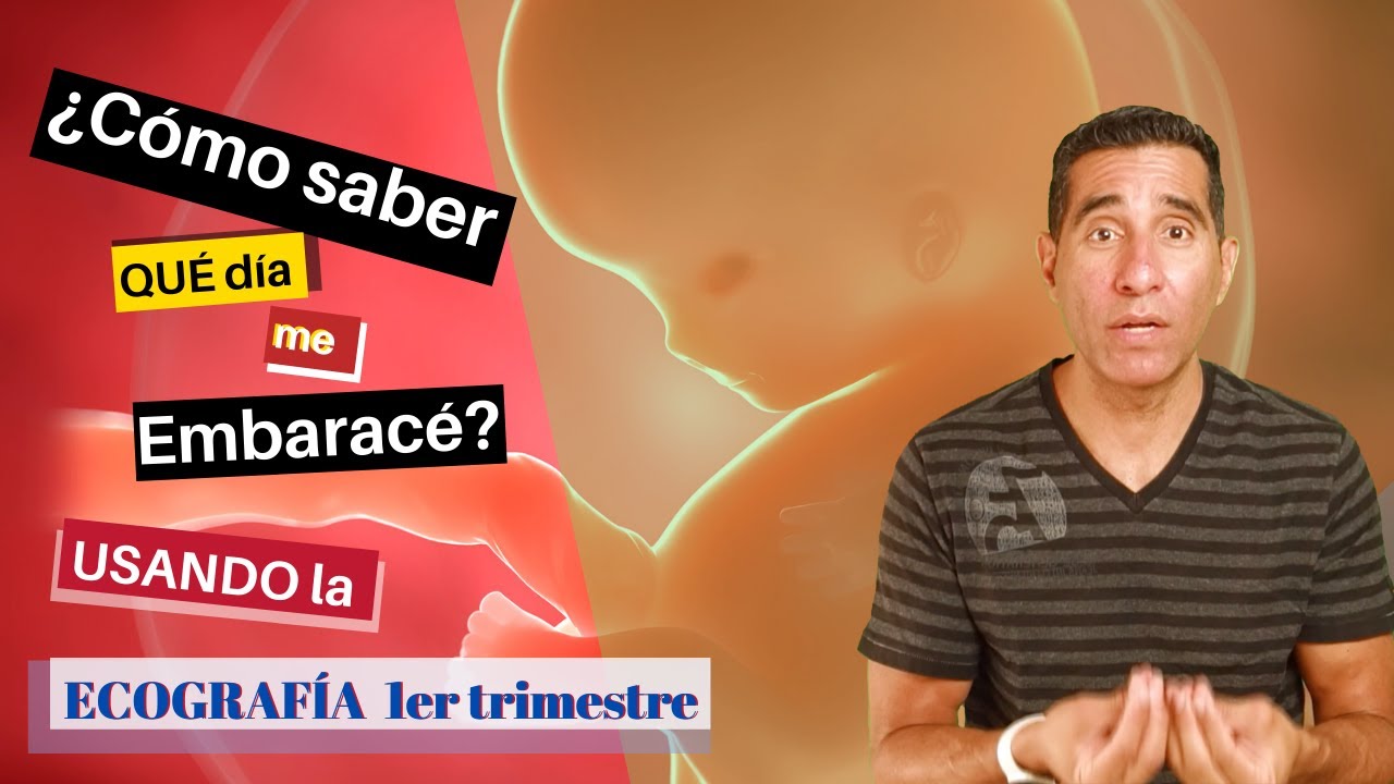 🤔Cómo saber  qué día me embaracé - Usando la ecografía del primer trimestre🤰🏻