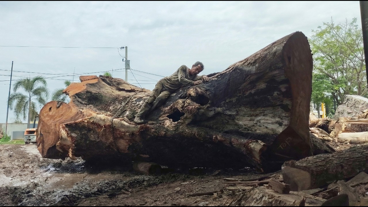 Extreme Hardwood Cutting by Industrial Machines