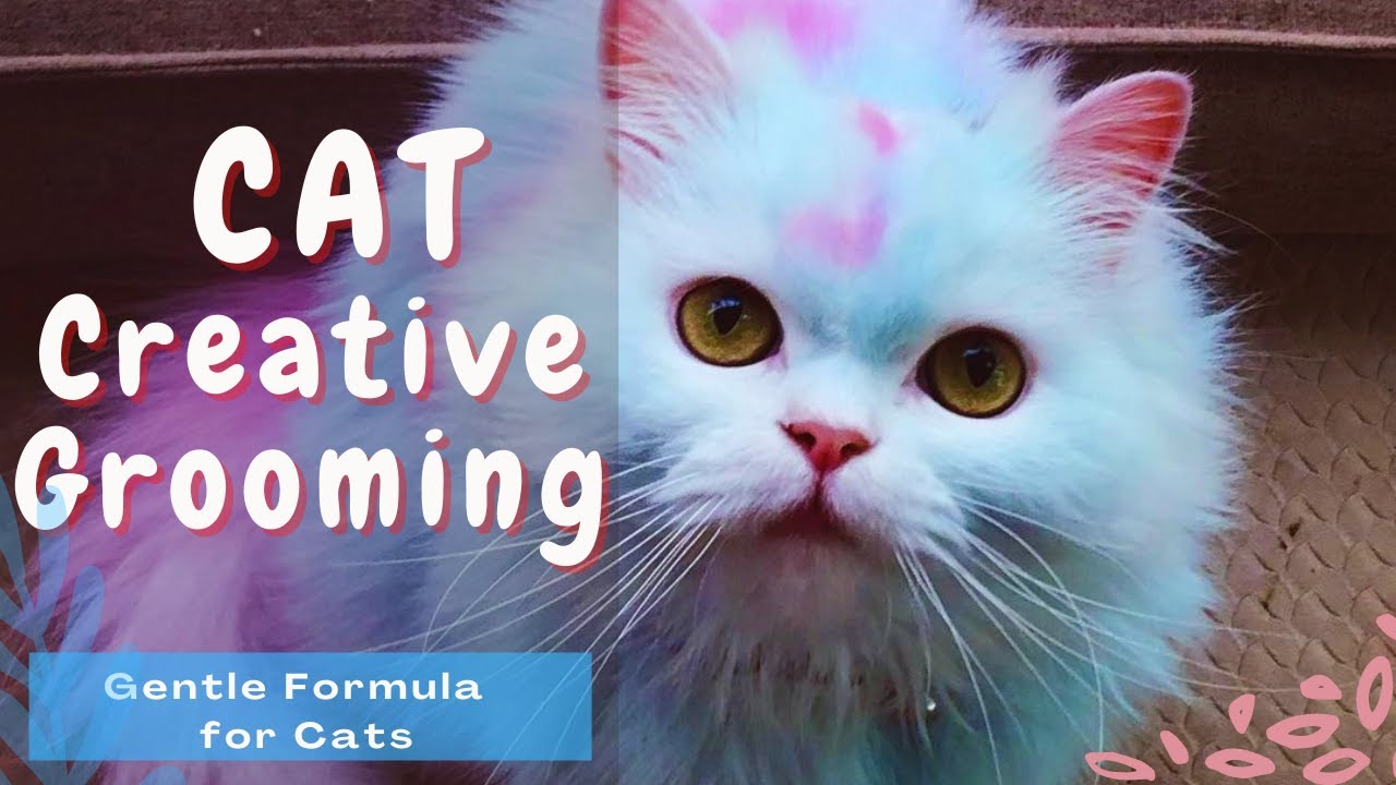 OPAWZ Creative Cat Grooming - Gentle Formula Safe Pet Hair Dyes for Cats