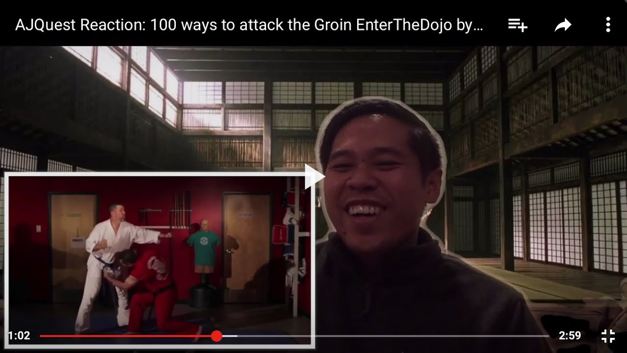 100 ways to attack the Groin EnterTheDojo by Master Ken