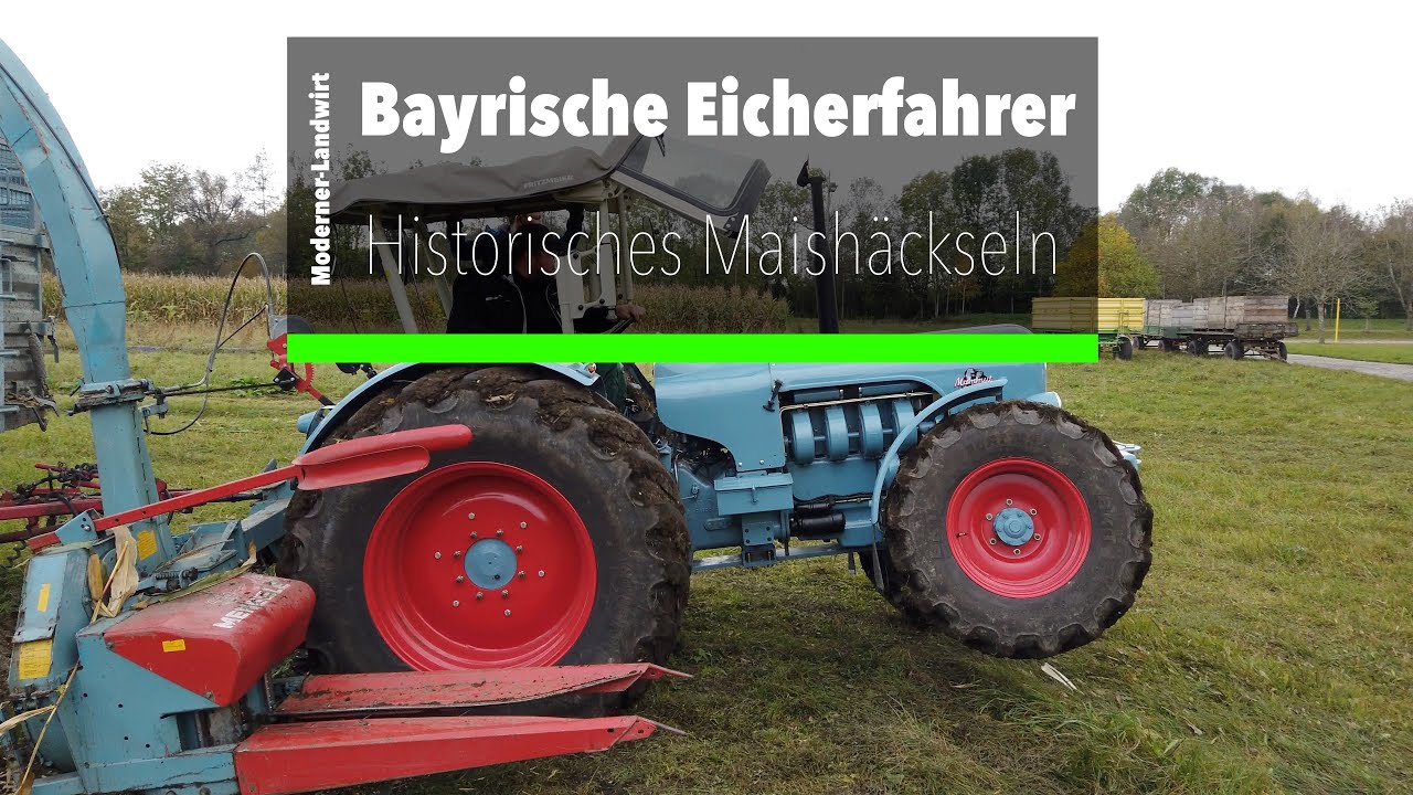 Eicher - Historisches Maishäckseln am Hausler-Hof - Mammut EA 600 - Mammut ED 310 - Königstiger - GT