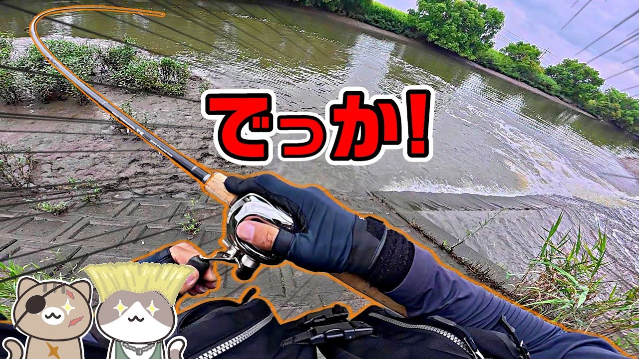 ミラクル☆このルアー釣れすぎてヤバイ！【リバーシーバス】