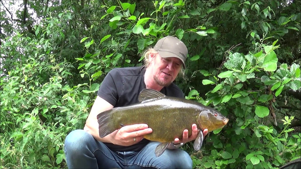 Tenchtastic! Starring Adrian Smith and Spug Redfern