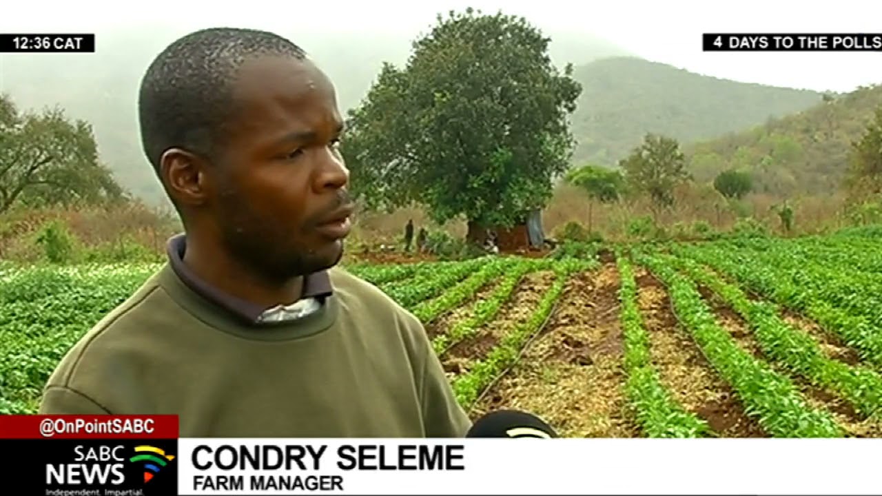 LGE 2021 | Ga-Mampa Mafefe villagers in Limpopo hoping for change