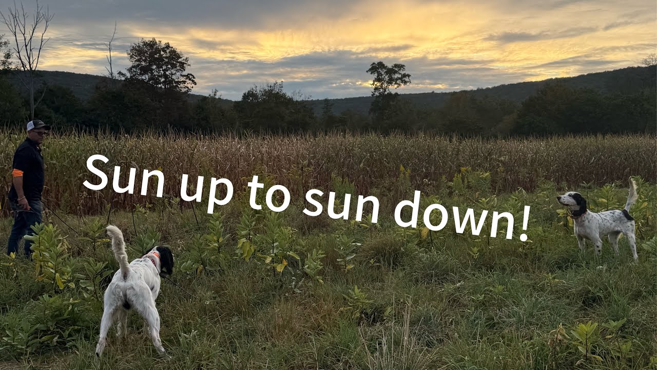 Sun up, to sun down! 