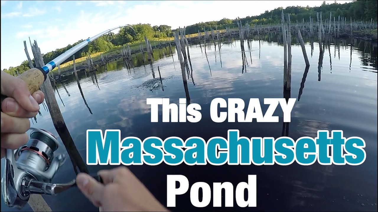 Crazy MASSACHUSETTS Bass Fishing!