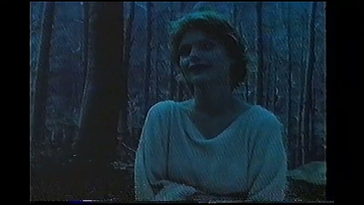 Ladyhawke, O Feitiço de Áquila (1985) TVRip Globo - Sessão da Tarde 1995, 1996...