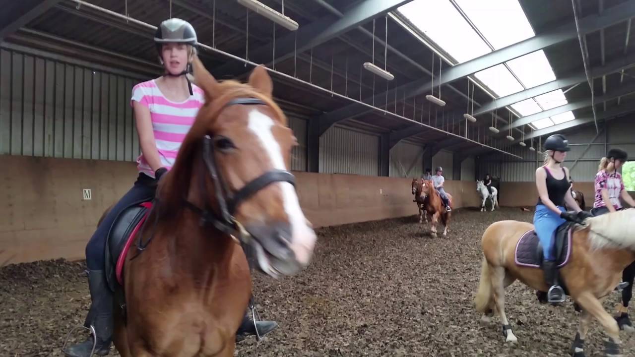 Manege Tinte | Be Cool!! | Paardenvlog #5 | YlonaMeisje