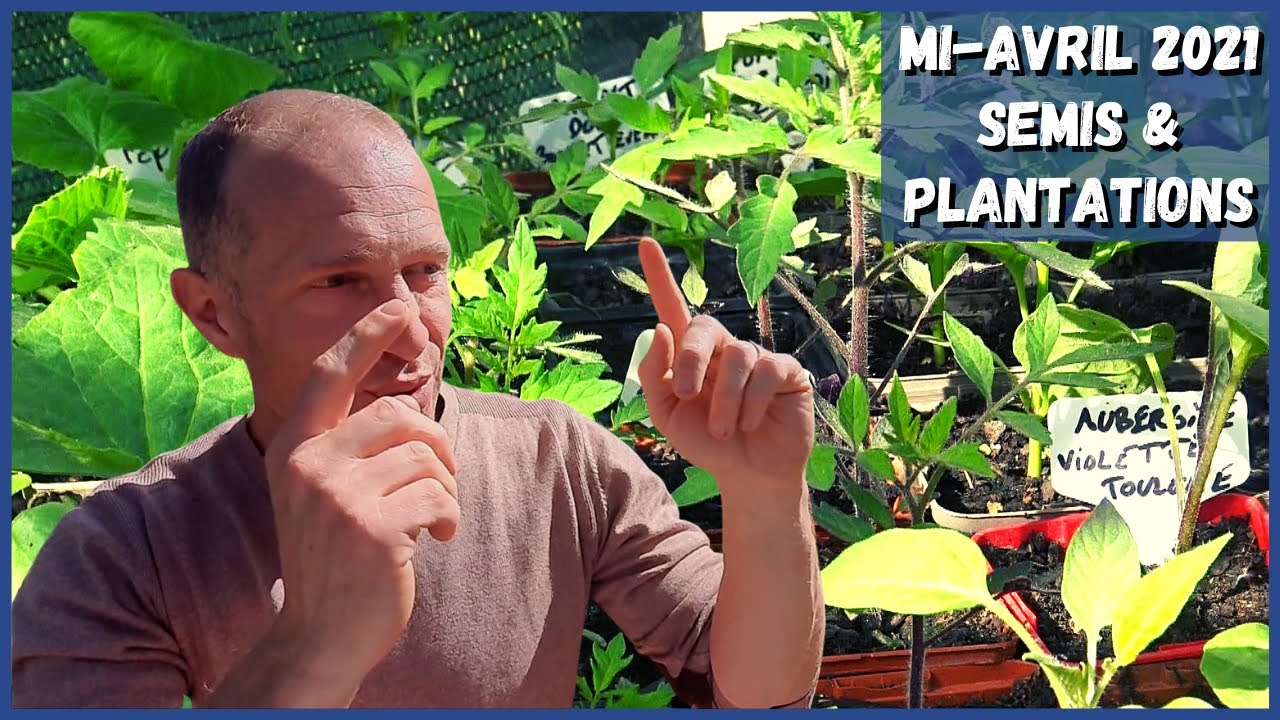 Mi-avril 2021 au potager - Folie des semis & plantations
